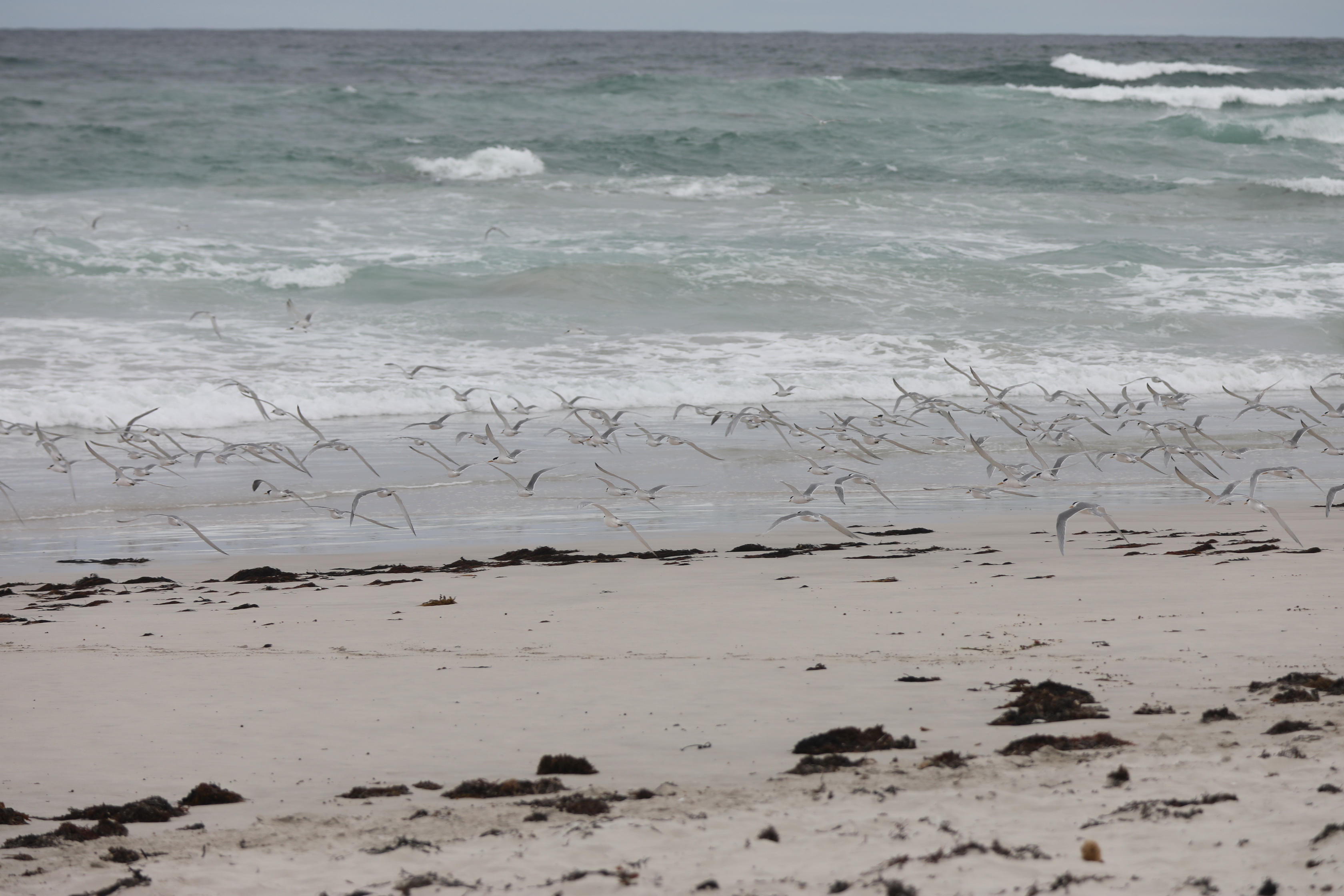 2019 09 29 12 36 07 Canon EOS 5D Mark IV 0019